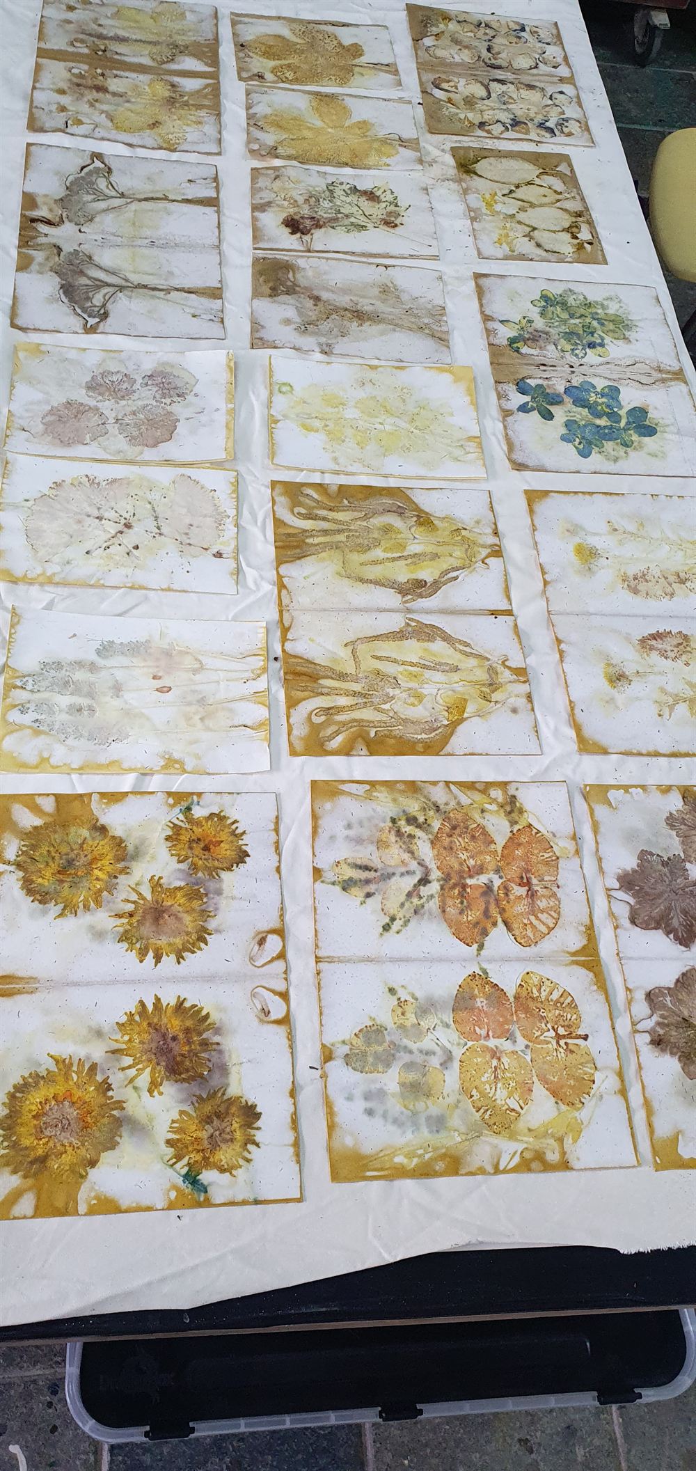 Vellen vers geprint ecoprintpapier, in rijen te drogen gelegd