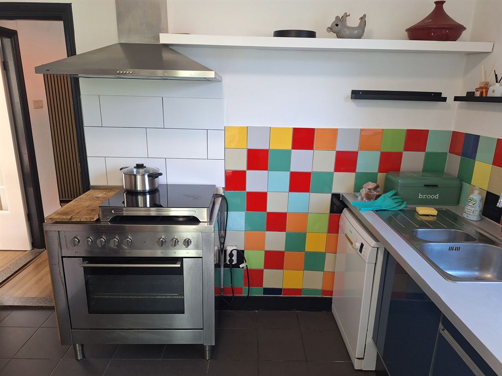 De woonkeuken met 4-pits inductieplaat, spoelbak en een spatwand van gekleurde tegels