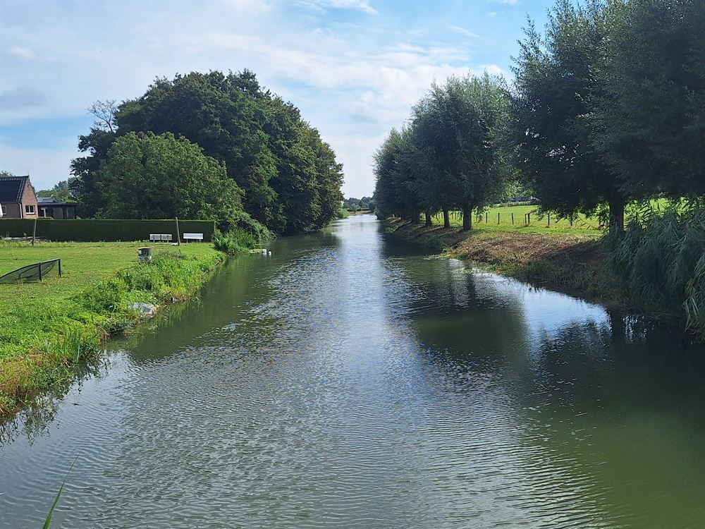 De Linge: stil water tussen rietoevers en bomen